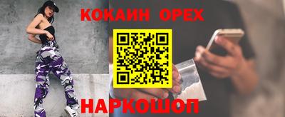 стаф Дубна