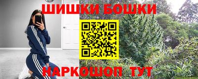 стаф Дубна
