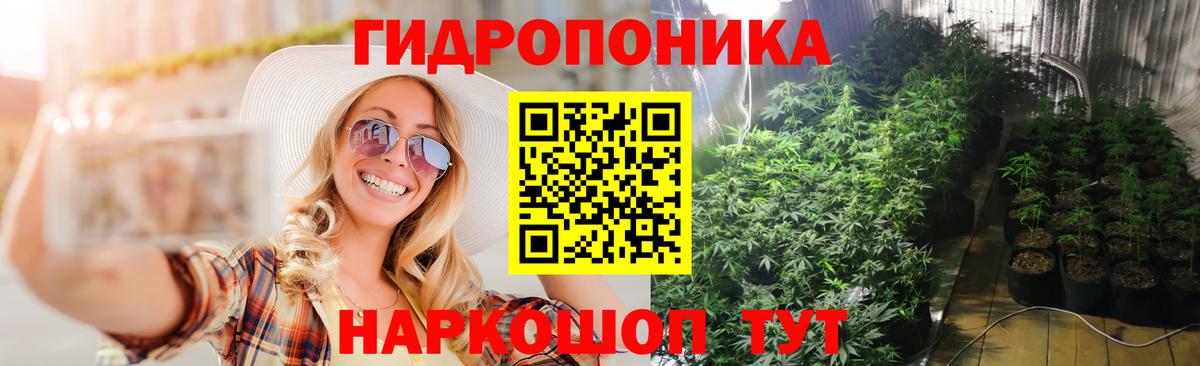 Бошки Шишки индика Мирный